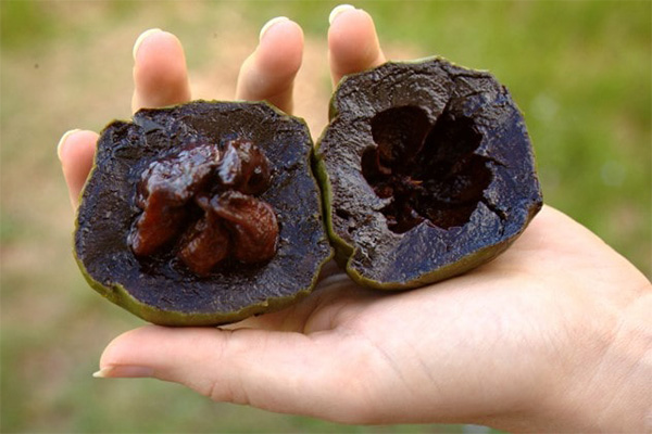 ساپوت سیاه ، میوه های استوایی عجیب دنیا 