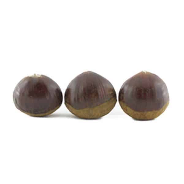 خرید بلوط - میوه شاه بلوط