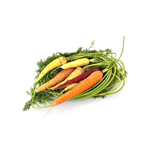هویج رنگی